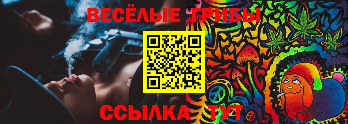 Галлюциногенные грибы GOLDEN TEACHER Волжский