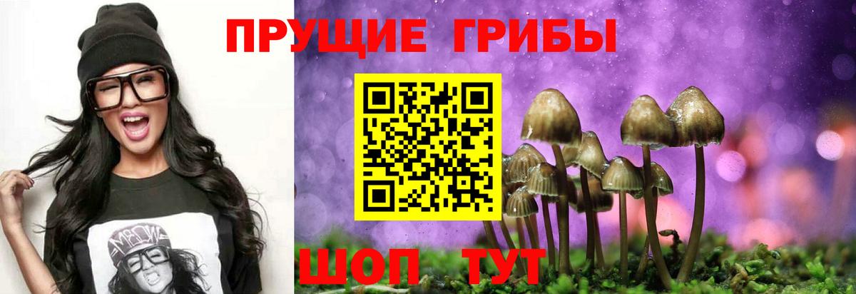 Волжский  как найти закладки  Вход с VPN  Галлюциногенные грибы Psilocybine cubensis 